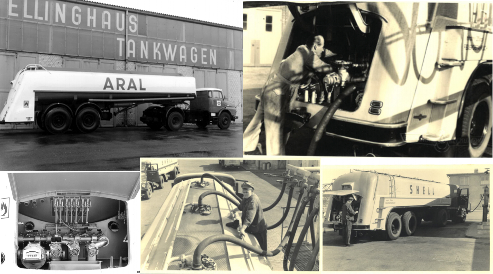 Entwicklung